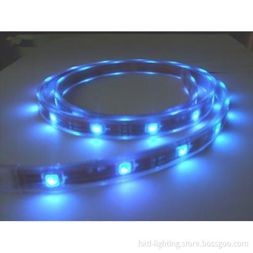 LED Strip (5050B01)